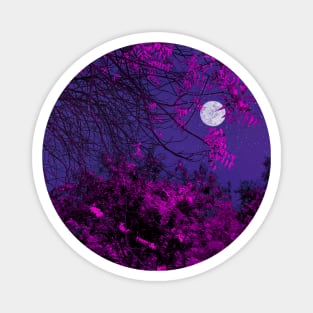 Moon Light and Pink Tree Magnet